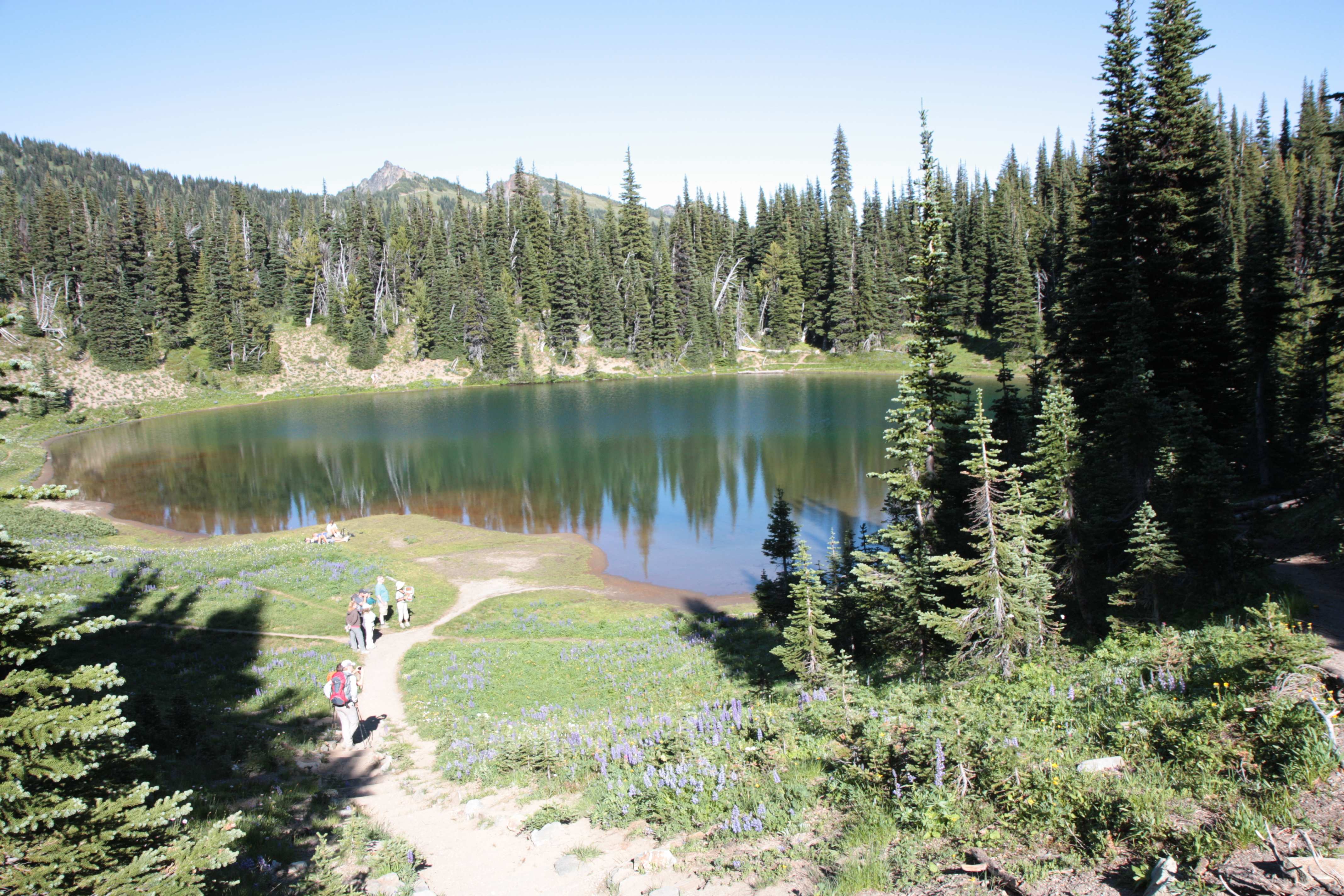 Mount Rainier NP
